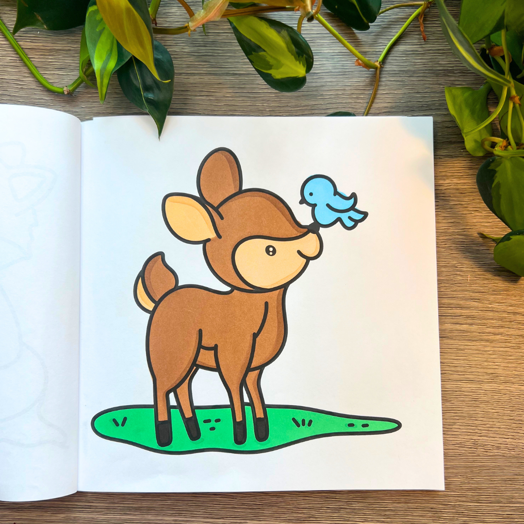 Picked For You! 2 Book Coloring Bundle with 8 Mystery Ohuhu Alcohol Markers by Wook Books