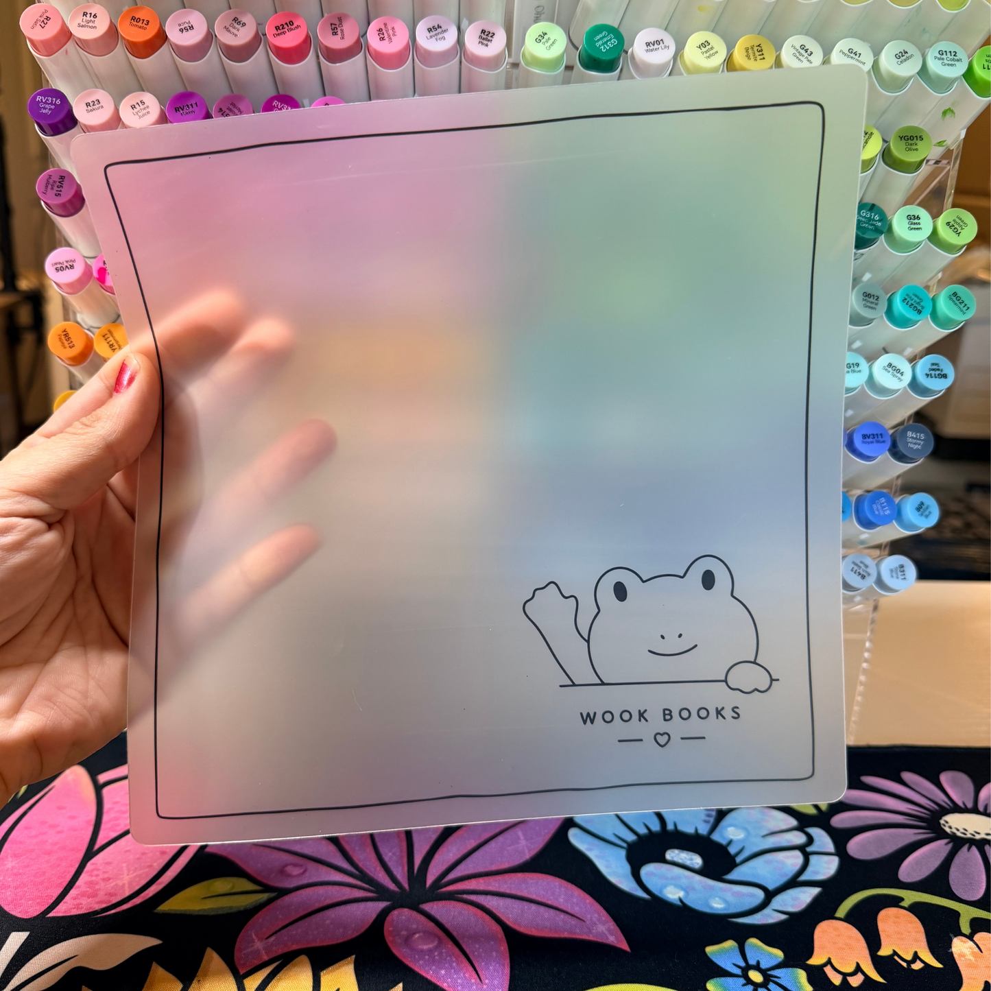 Reusable Protective Sheet