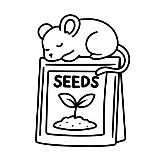 Flora Fauna Bold and Easy Coloring Book