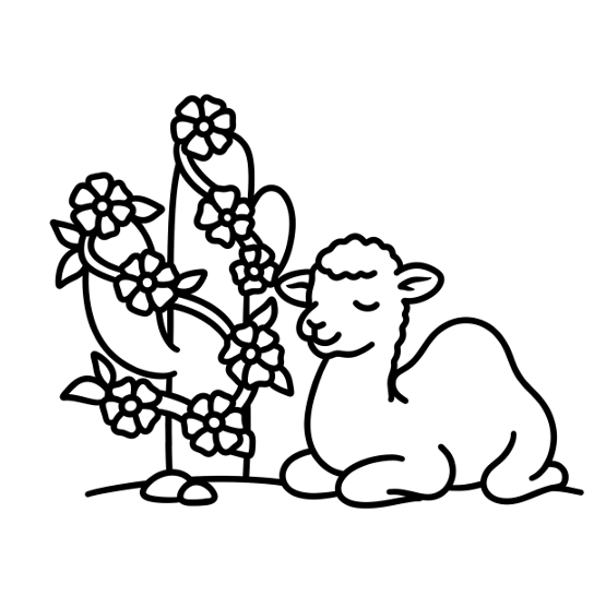 Flora Fauna Bold and Easy Coloring Book