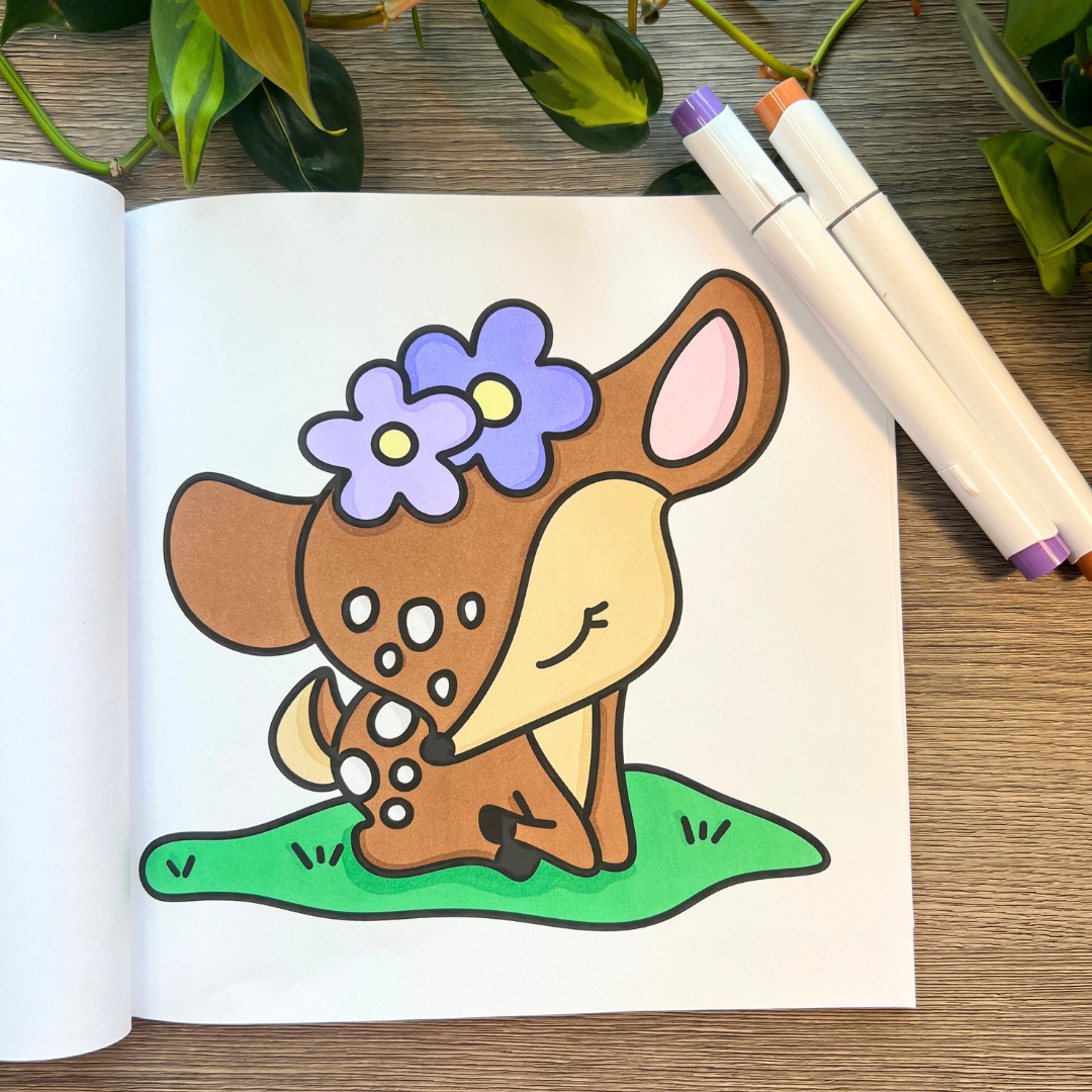 Picked For You! 2 Book Coloring Bundle with 8 Mystery Ohuhu Alcohol Markers by Wook Books